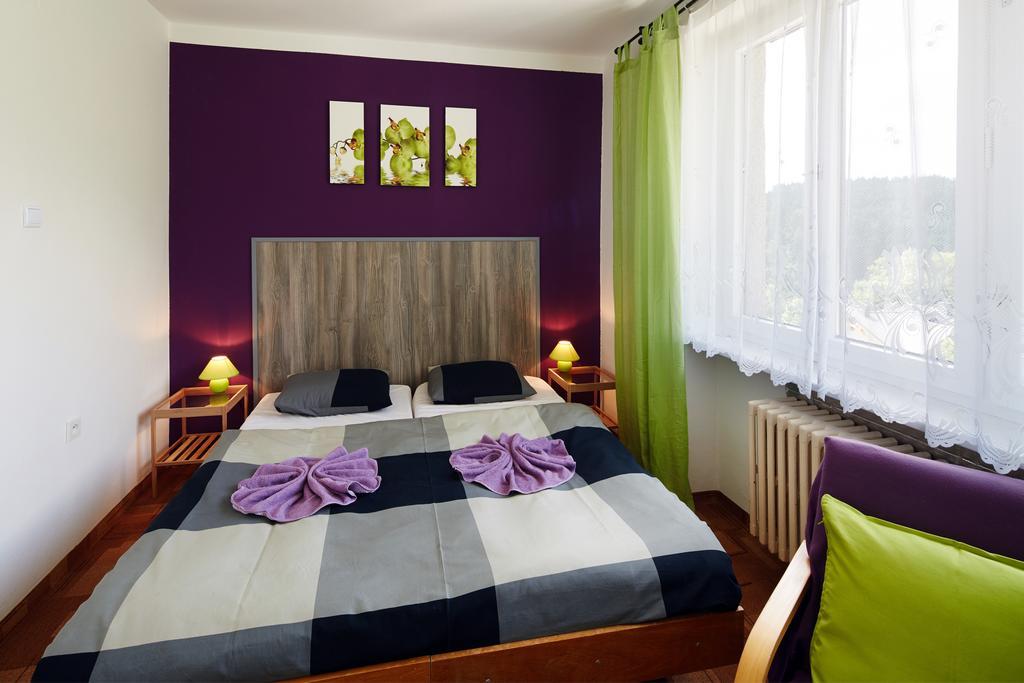 Pension U Slunce Janské Lázně Habitación foto